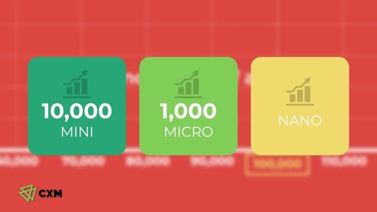 FXの標準ロットを理解する