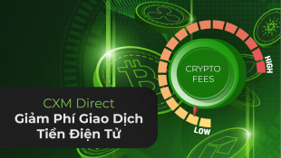 CXM__VN_Blog_CryptoCommissionFees 